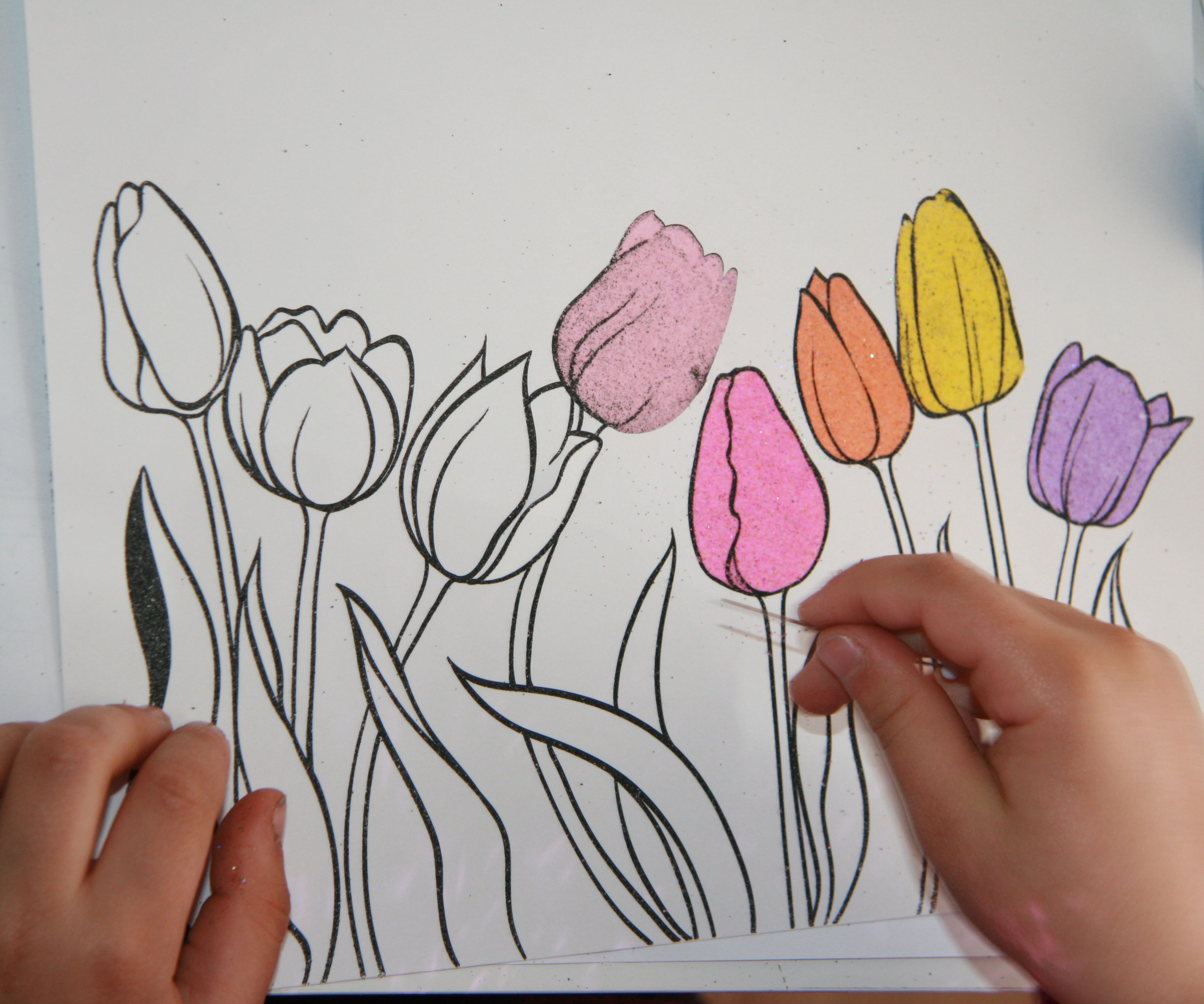 TULIPÁNY / 25x20 cm