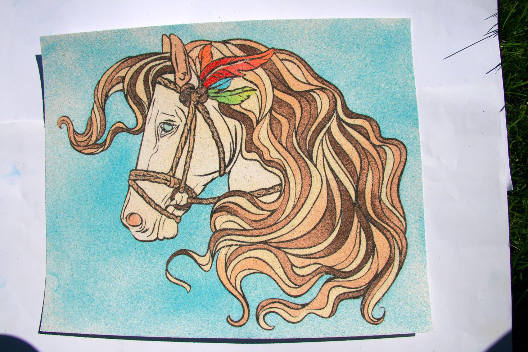 KŮŇ II. / 25x20 cm