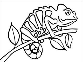 CHAMELEON / 20x15 cm