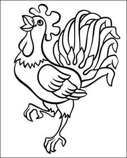 KOHOUT / 12x15 cm
