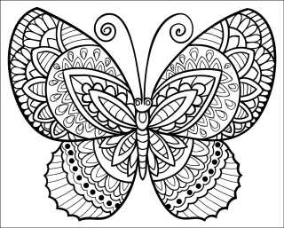 MOTÝL zentangle II. / 25x20 cm