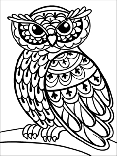 SOVA zentangle / 15x20 cm