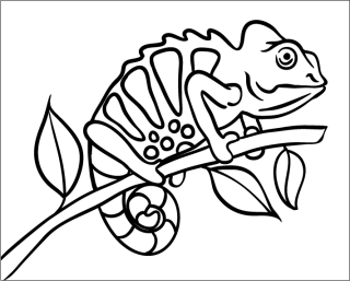 CHAMELEON I. / 25x20 cm
